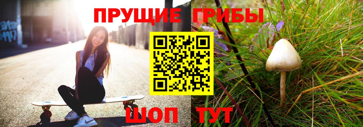 Псилоцибиновые грибы Psilocybine cubensis  купить наркотики цена  Сатка  Вход с VPN 